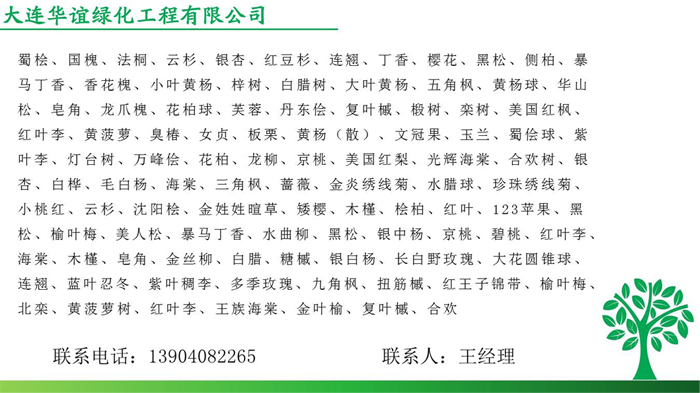 綠化樹(shù)苗種類(lèi)